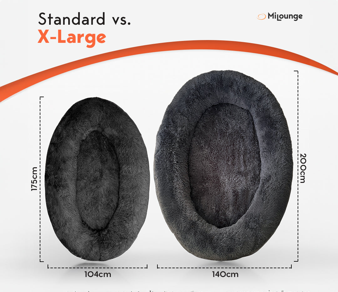 X-Large