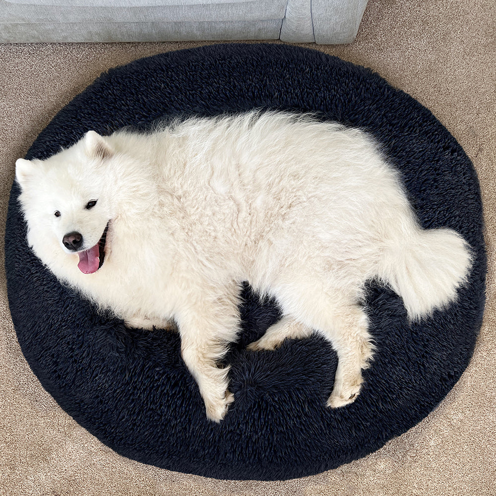 MiLounge Calming Dog Bed