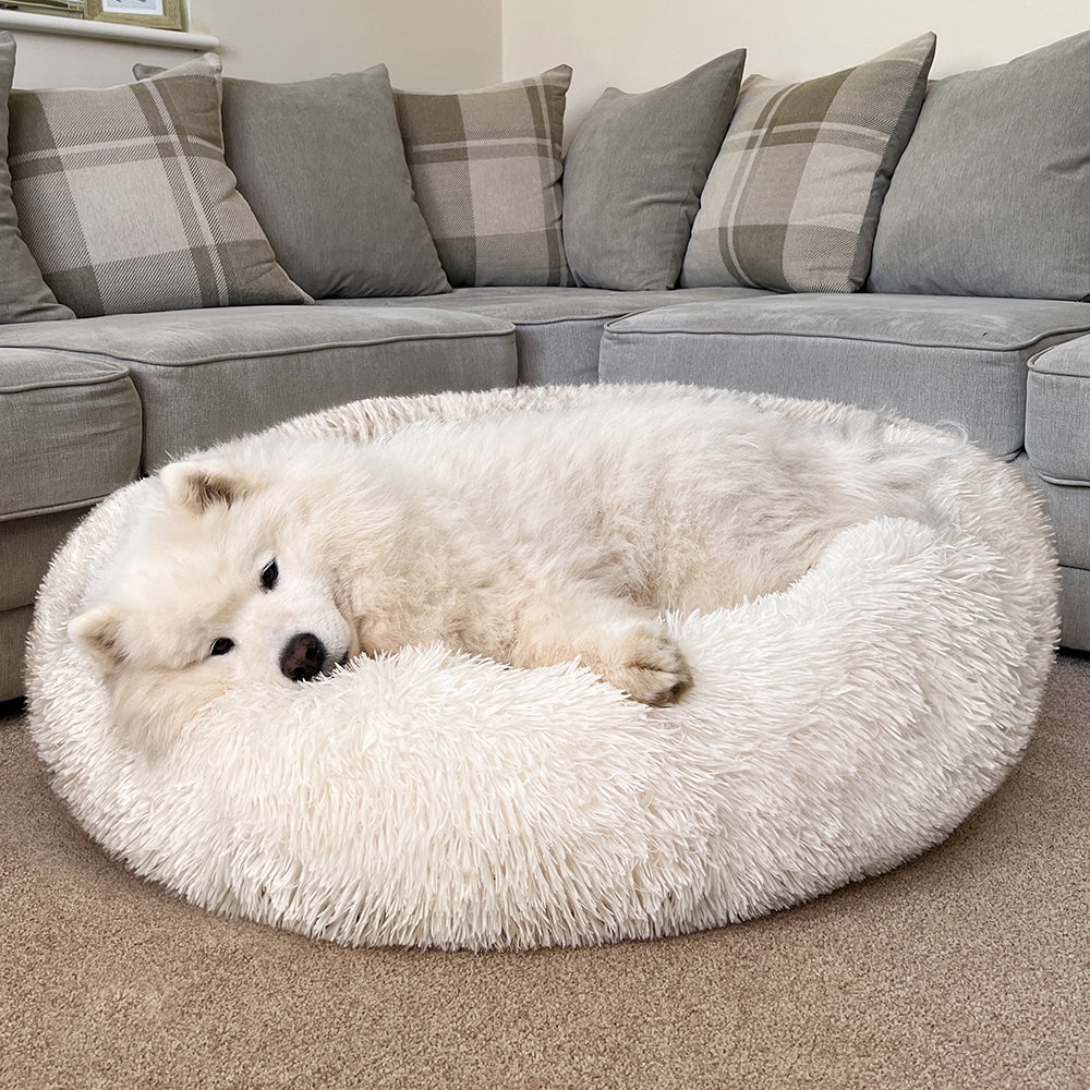 MiLounge Calming Dog Bed
