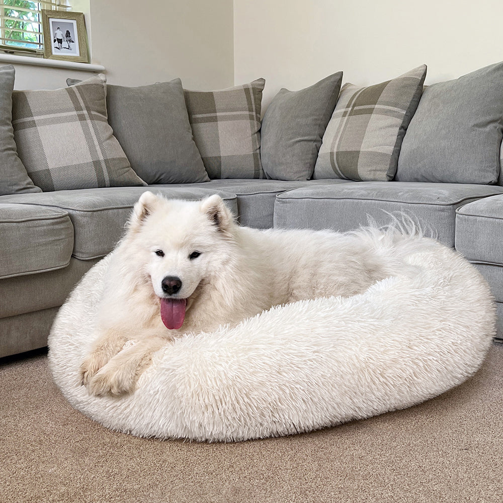 MiLounge Calming Dog Bed