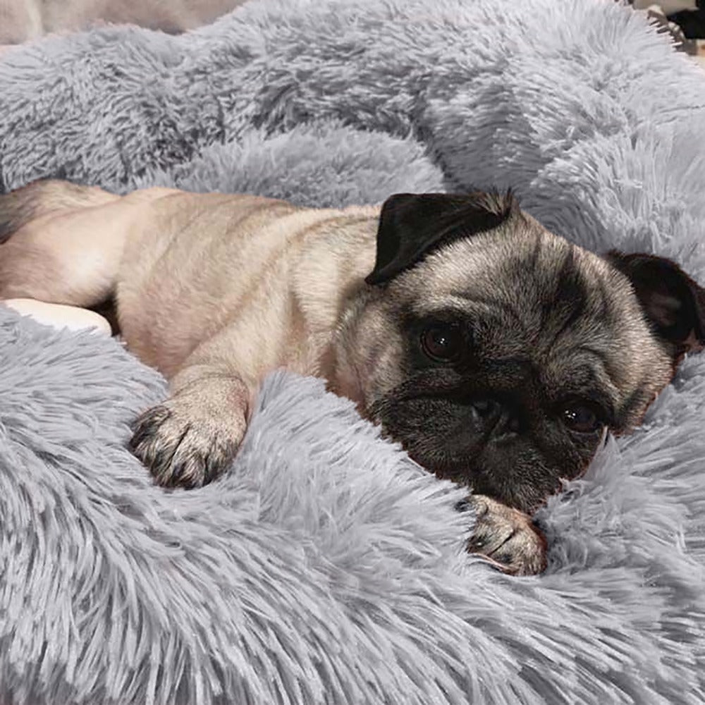 MiLounge Calming Dog Bed