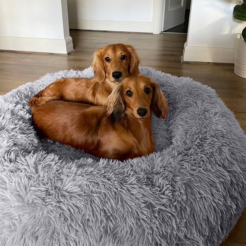 MiLounge Calming Dog Bed